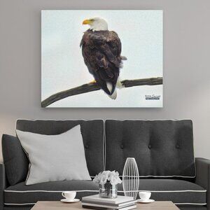 16x20 Bald‎ Eagle on a Limb Photography Oil Painting Art Print